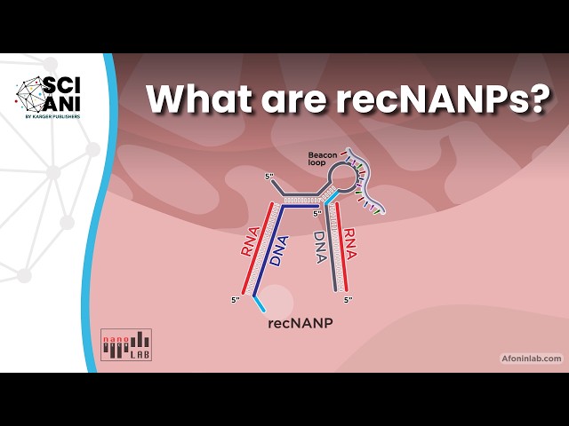 RecNANPs: Smart Drugs That Target Cancer Cells Only