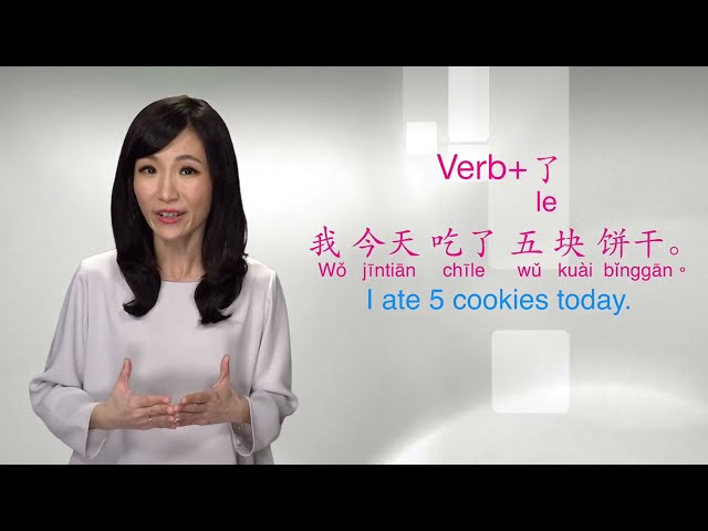Basic Mandarin Chinese Level 3  - Lesson 1 Grammar| The use of 了 in past sentences
