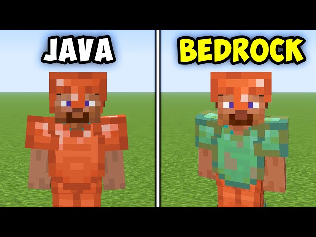 100 Minecraft Java vs Bedrock Things!