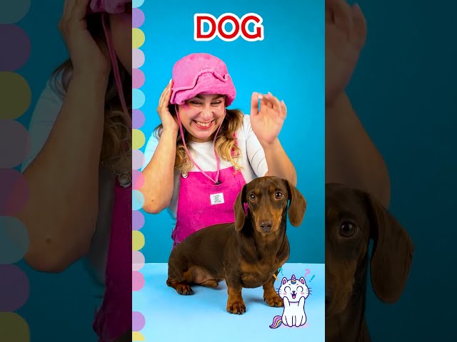 🐸🦋 What’s On The Menu? Animal Food Game! 🐶🍽️ #kids