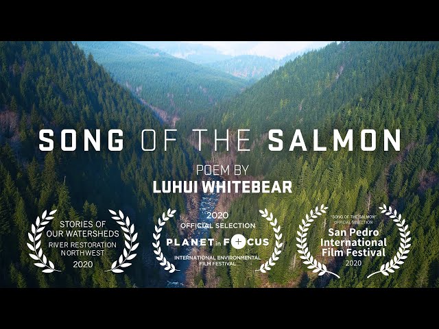 Song of the Salmon