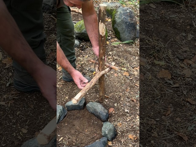 Genius Idea Using Sticks and Rope That Actually Works. #camping #outdoors