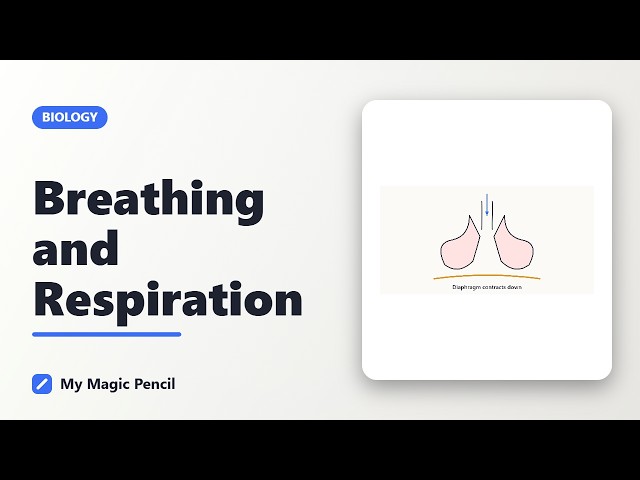 Neet Biology : Breathing and Respiration Part 2 #neet #biology