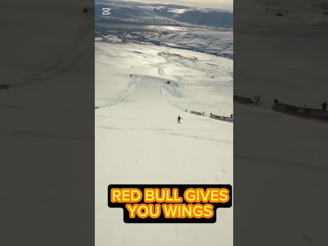 LONGEST JUMP