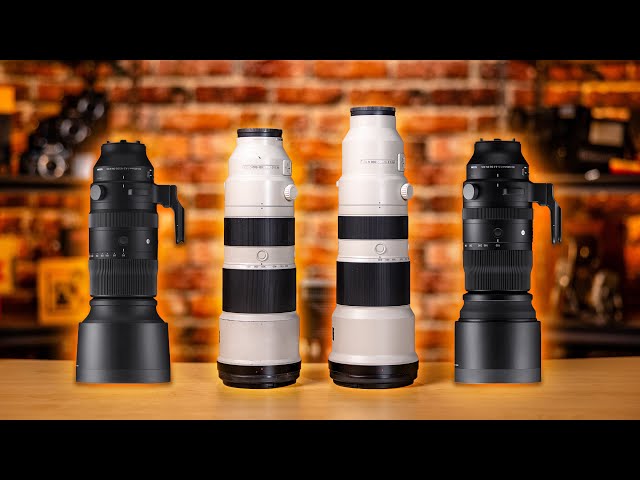 BEST Sony E-Mount Super Telephoto ZOOM Lenses on a BUDGET (Wildlife, Birding, Sports Photos)