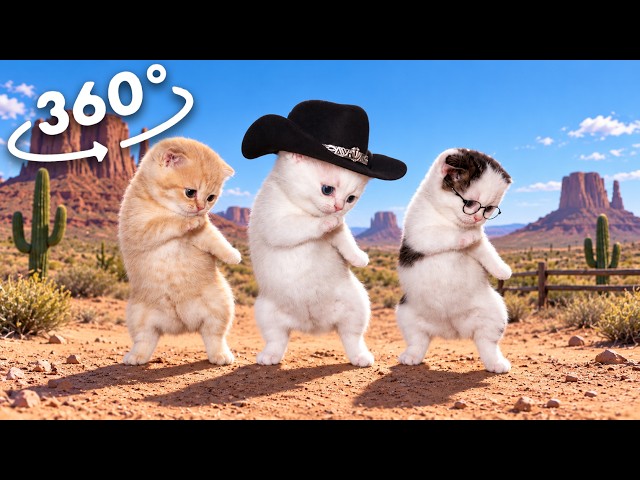 360º VR Cute Kittens Dancing MEME (cowboy version)