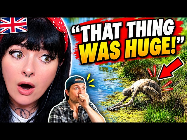 British Girl REACTS to the SCARIEST Predator Encounters | I Was NOT Ready for These!