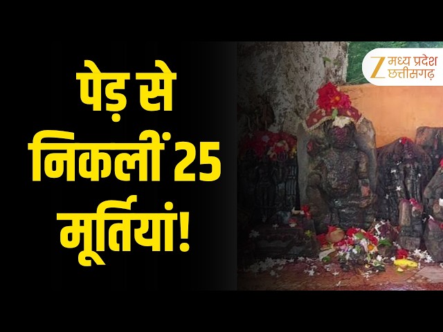 Harda : 600 साल पुराना पीपल का पेड़! जड़ों से मिलती हैं देवी-देवताओं की मूर्तियां | Zee MPCG
