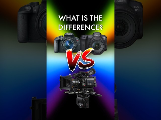 Cinema Camera vs Mirrorless Camera Explained 🎥 Why Hollywood Cameras Cost SO Much