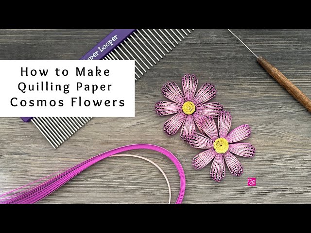 How to Make Quilling Paper Cosmos Flowers | Quilling for Beginners