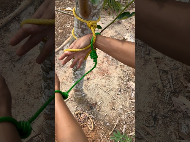 This Ancient Technique Makes Any Rope Useless