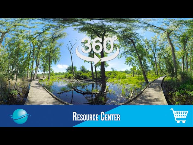 VR/360: Nature Preserve
