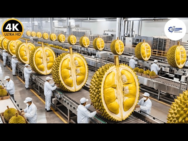 Inside a $10M Japanese Durian Mochi Factory (Full Process)