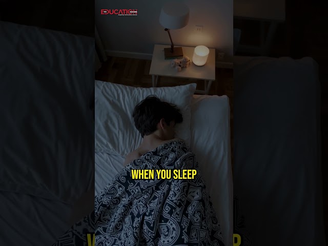 How Your Brain Uses Sleep to Study |The Education Magazine