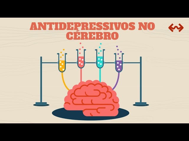 Do antidepressants change the brain?