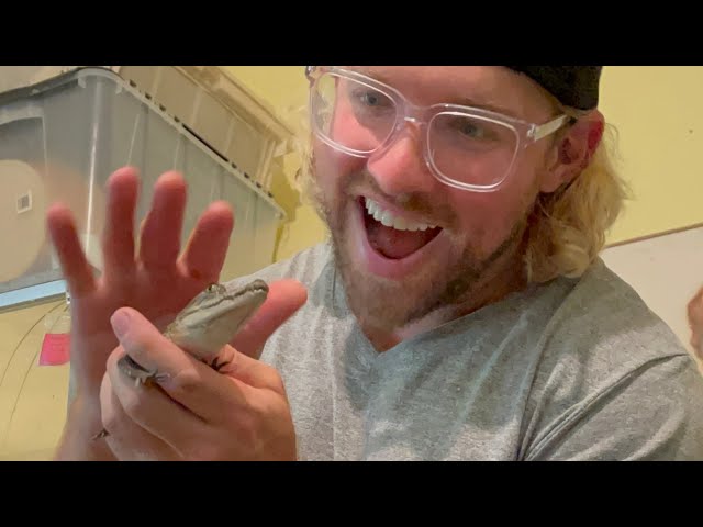 Bonus C.A.R.E. vid - feeding crocodile & alligator