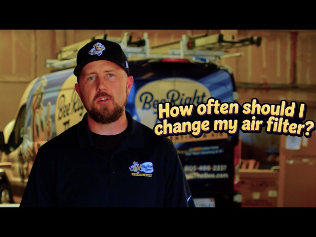 How Often Should You Change Your HVAC Air Filter? | HVAC Tips | Bee Right There