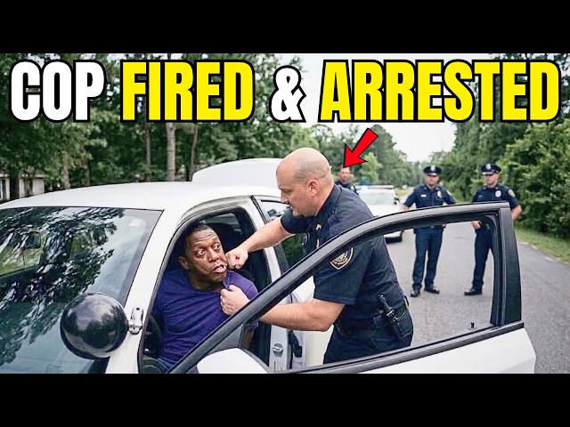 Cop Gets FIRED, ARRESTED, And SUED After Punching Innocent Driver