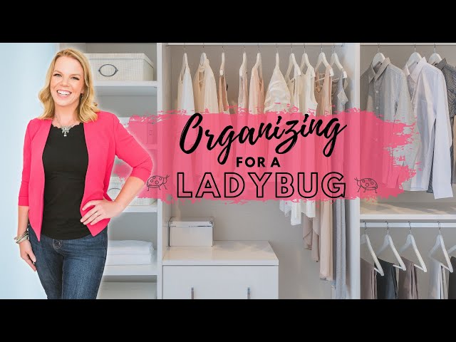 * NEW* Organizing Ideas and Tips for Ladybugs