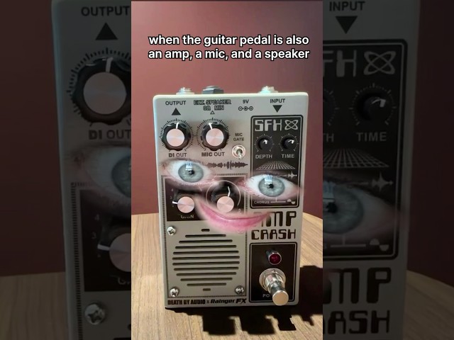 why would i deceive you? #musician #guitarpedal #guitarist