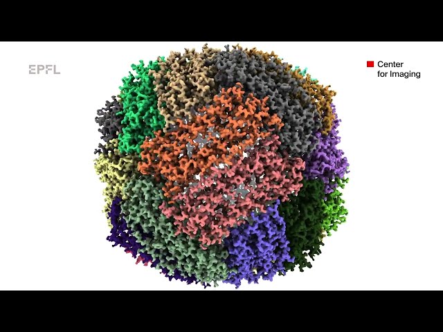 Ulrich Lorenz, Laboratory of molecular nanodynamics