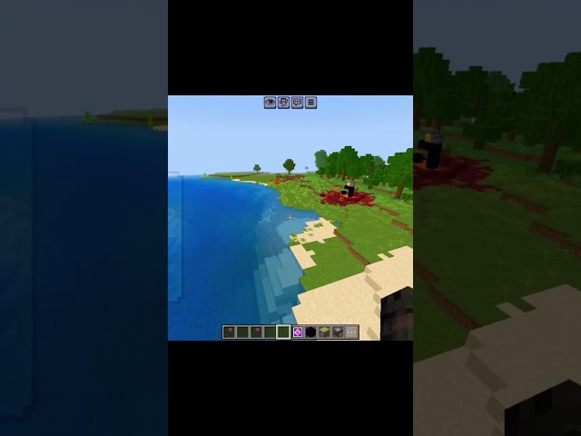 Minecraft Tik Tok hacks#minecraft#shorts