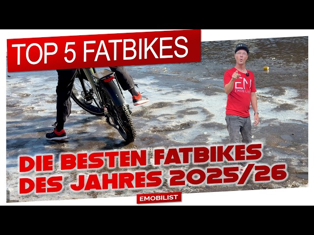 Top 5 Electric Fat Bikes 2025/26