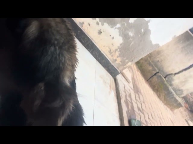 His selfie 