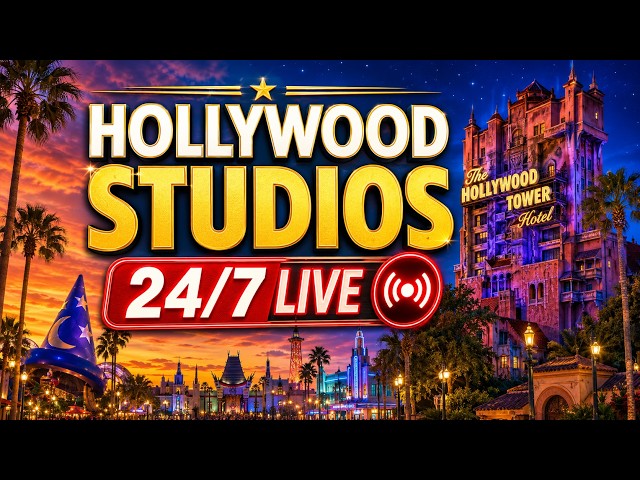 Disney's Hollywood Studios LIVE 24/7 | Walt Disney World Live Stream