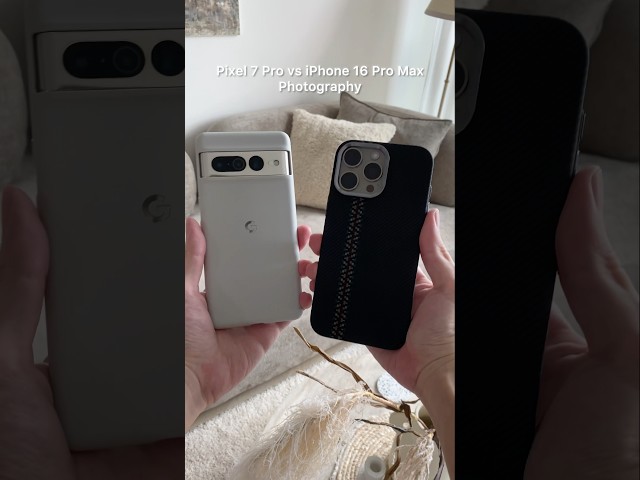 Pixel 7 Pro vs iPhone 16 Pro Max Camera — Old Wins? #smartphone #photography