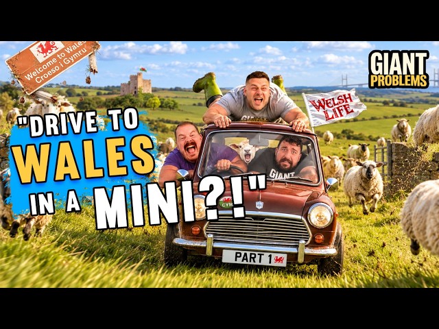 3 STRONGMEN. 1 MINI. 300 SHEEP!!