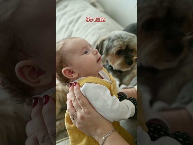 cute baby #viral #funny #short