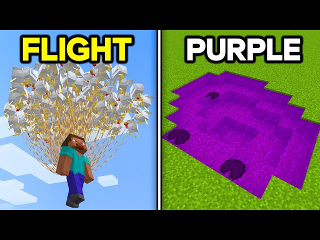 209 Minecraft Things That Are Actually Possible