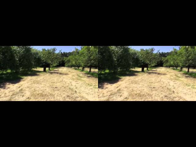 Test Sony HDR-TD30