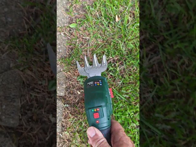 Why you need this Parkside shear for your garden #gardening #parkside