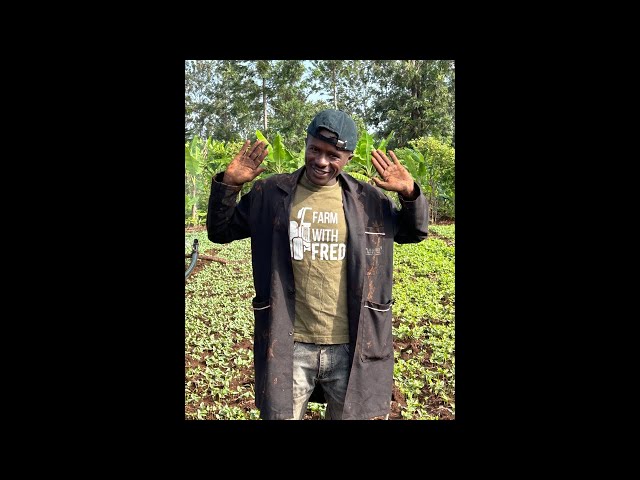 My farm morning routine. Irrigation time #trending #diy