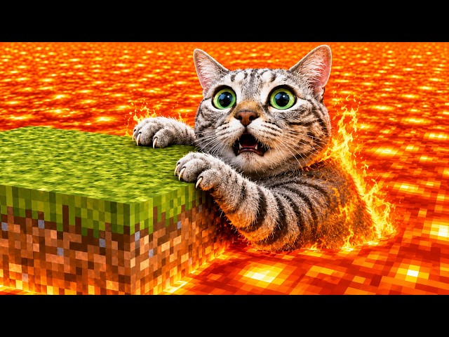 Minecraft LavaBlock but with Cats