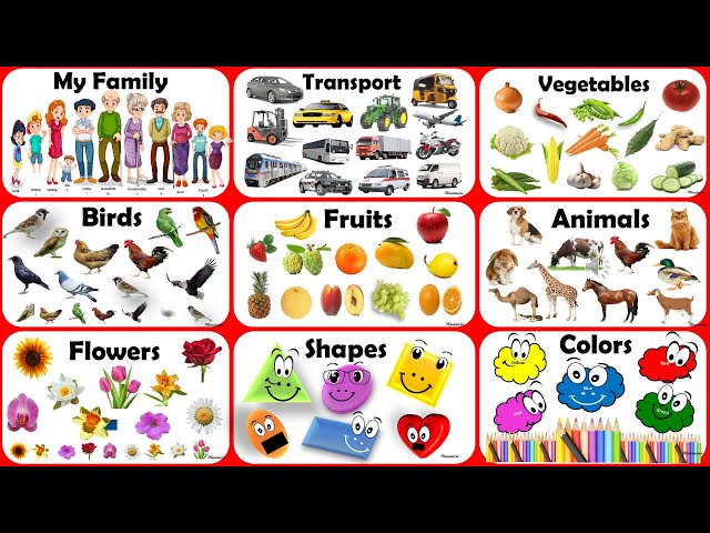 Home Based School Channel's Videos Summary | Thumbnails | Shorts | Youtube Short