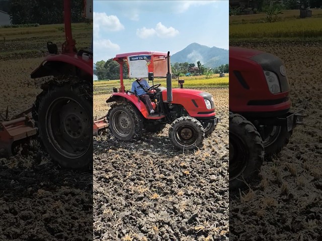 TRAKTOR SAWAH DONGFENG GATRA #traktorsawah #traktor #traktorgatra