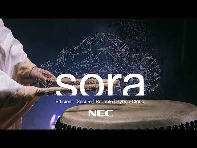Sora Hybrid Cloud (General)