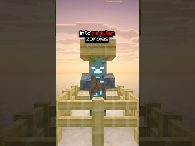 Proving Minecraft OCEAN MYTHS Wrong 🤯 #minecraft #shorts