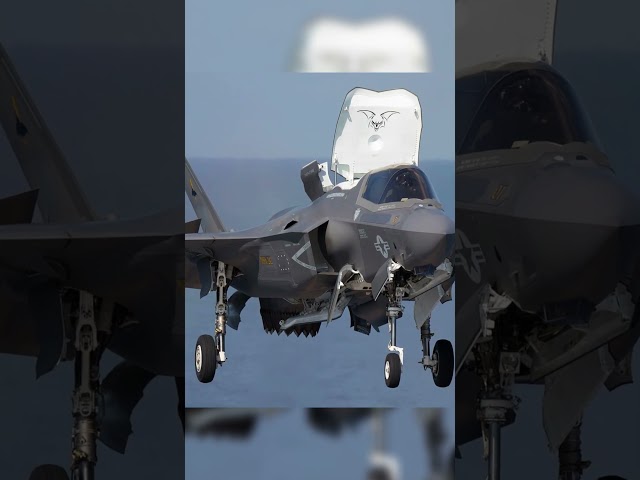 Why Indian Air Force Prefers Russian & French Jets Over U.S.