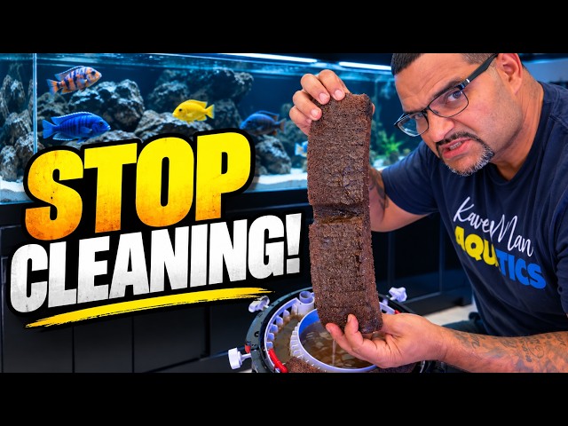 Your Aquarium Is Too Clean...And It's Killing Your Fish!