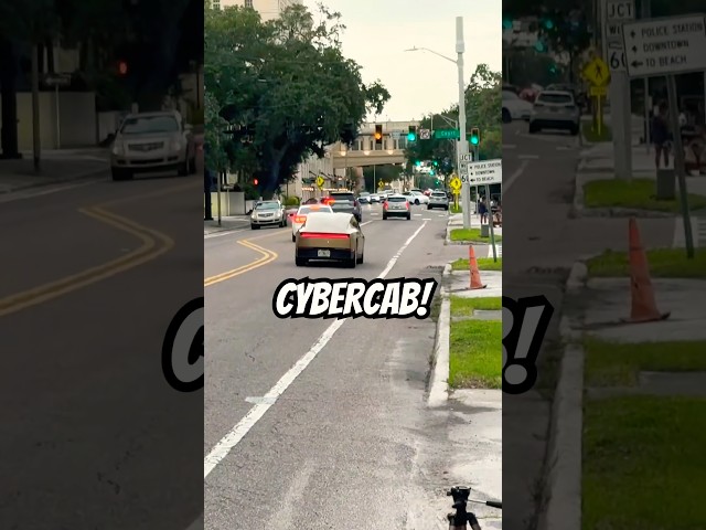 Cybercab in Clearwater, FL