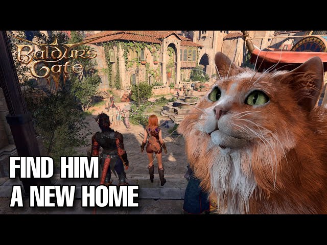 Helping Malta, the stray cat in Baldur's Gate