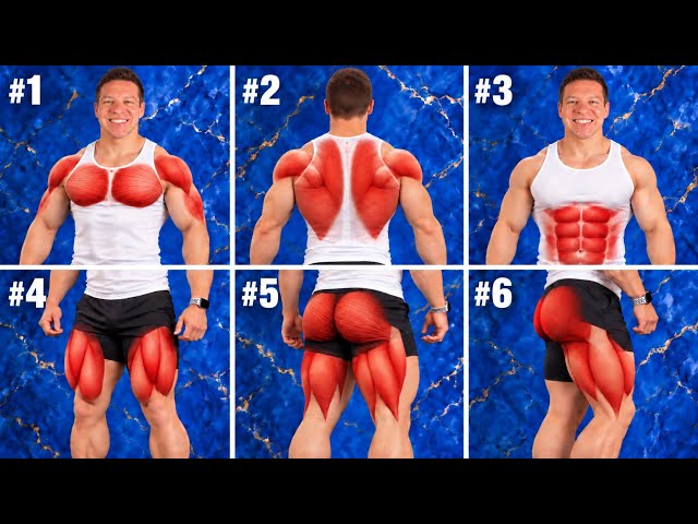 the ONLY 6 EXERCISES beginners NEED