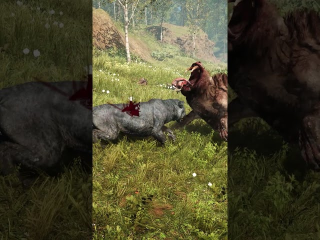 Bloodfang Sabretooth Tiger VS Rare Black Lion Far Cry Primal 4K 60 FPS #bloodfangsabretooth