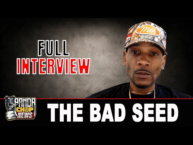 The Bad Seed: Talib Kweli, 38 Spesh vs Jadakiss, Jim Jones, Fat Joe, Dame Dash vs Cam’ron & M80!