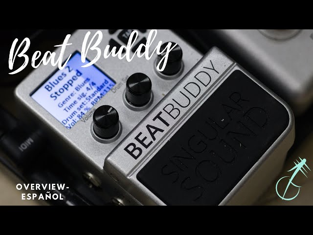 BeatBuddy in-depth overview