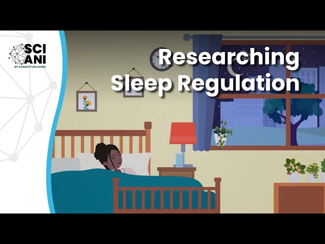 How can the fruit fly help us understand sleep?